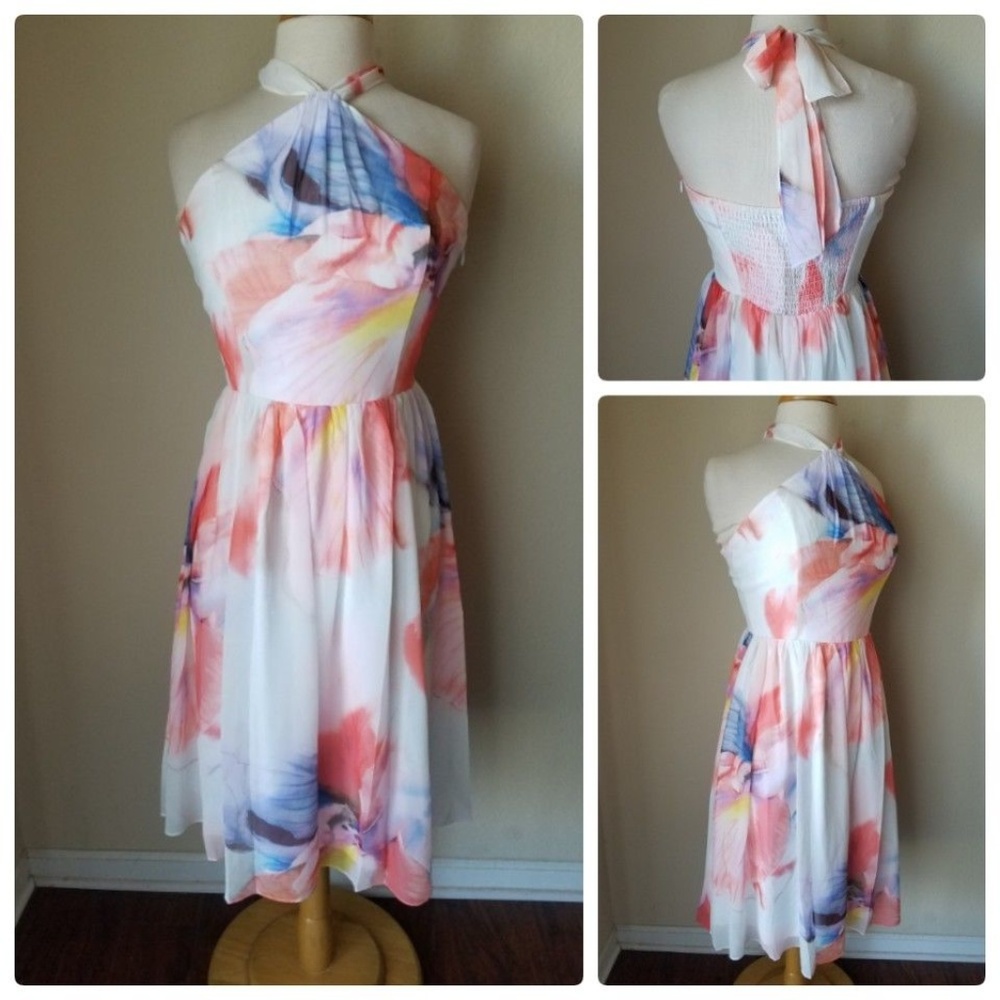 NWTWhite House Black Market Waterclrr Halter Dress